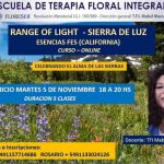 Escuela Terapia Floral Integrada