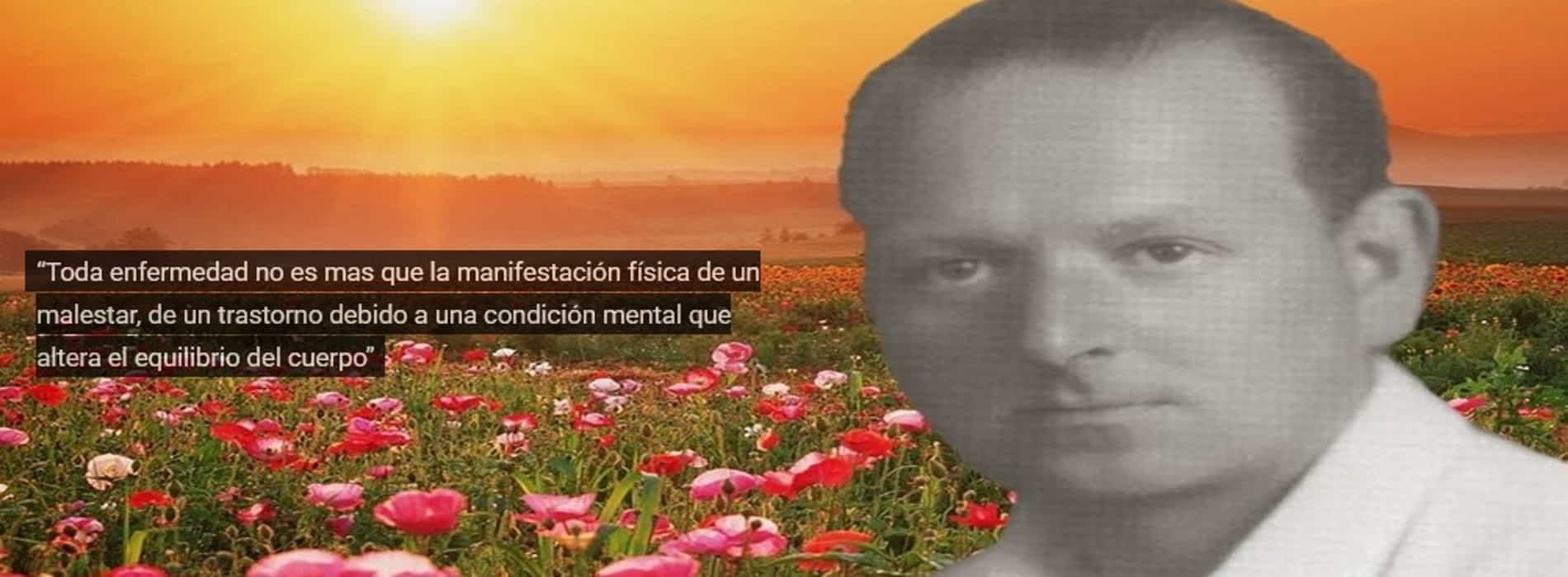 Escuela Terapia Floral Integrada