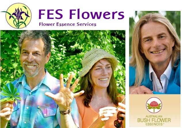Escuela Terapia Floral carrera_2ano Escuela Terapia Floral Integrada