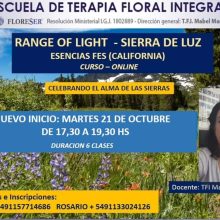 Escuela Terapia Floral Integrada
