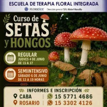 Escuela Terapia Floral Integrada