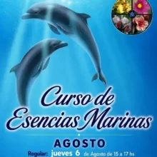 Escuela Terapia Floral Integrada