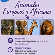 Escuela Terapia Floral Integrada